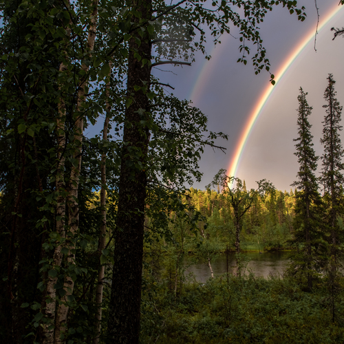 Photo #13980186