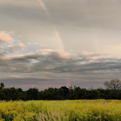 Photo #13980248