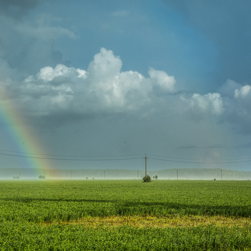 Photo #13980337