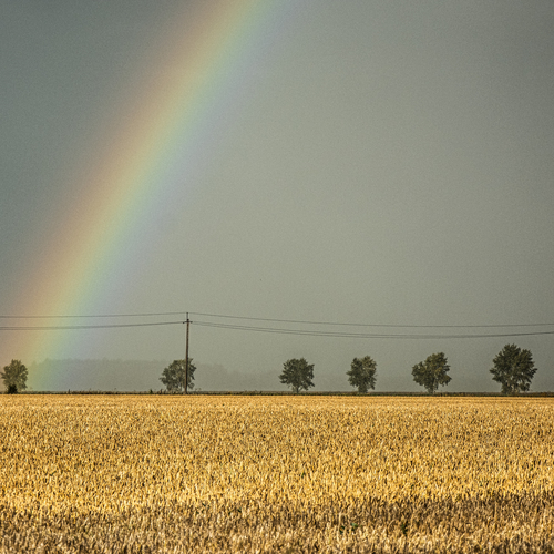 Photo #13980338