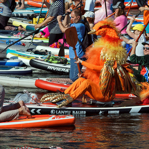 Photo #13980566