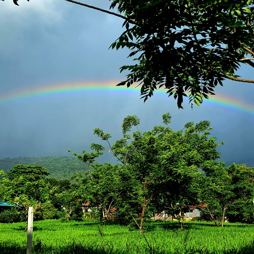 COSTA RICA RAINBOW