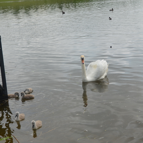 Photo #13980903