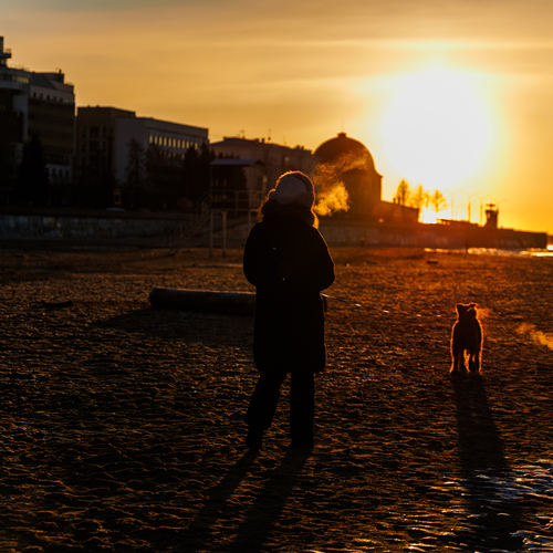 Photo #13981051