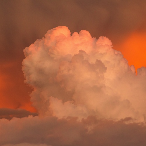 The cloud