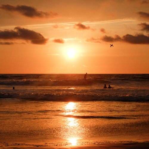 Photo #13981409