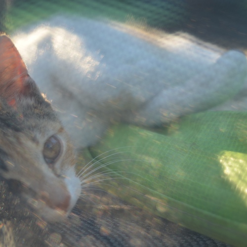 Photo #13981468