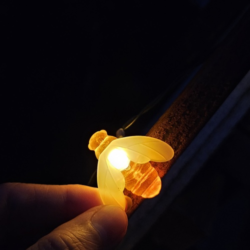 Photo #13981502
