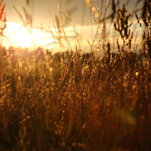 Photo #13981561