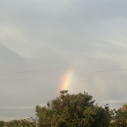 Photo #13981614