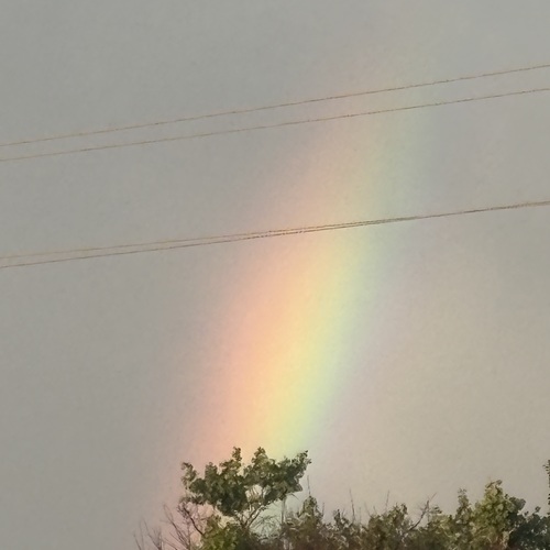 Photo #13981615