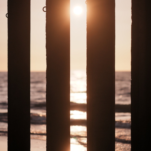 Photo #13981652