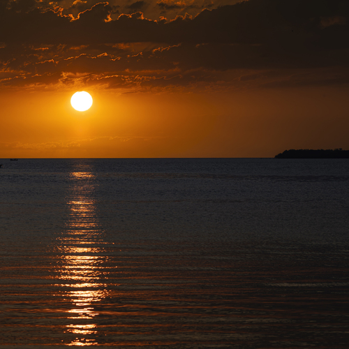 Photo #13981684
