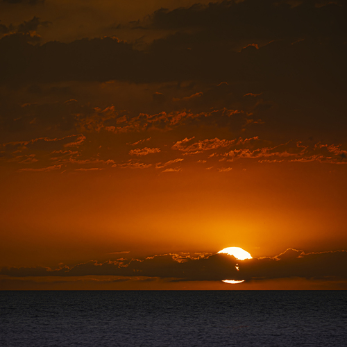 Photo #13981690