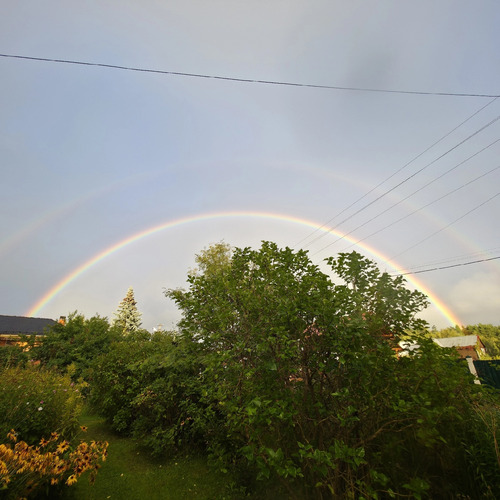 Photo #13981739
