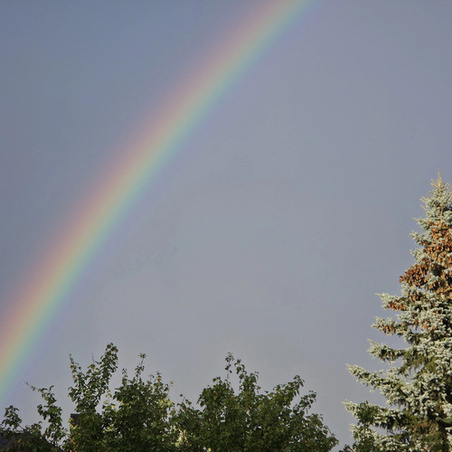 Photo #13981743