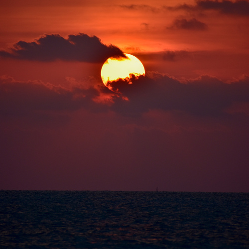 Photo #13981830