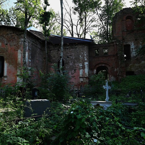Photo #13981845