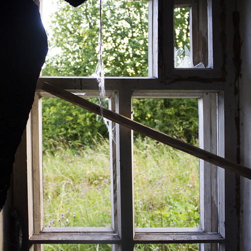 Photo #13981904