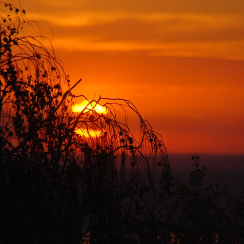 Photo #13982051