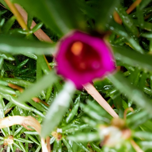 Photo #13982077