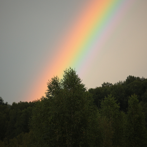 Photo #13982172