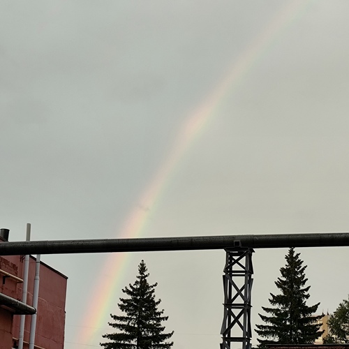 Photo #13982176