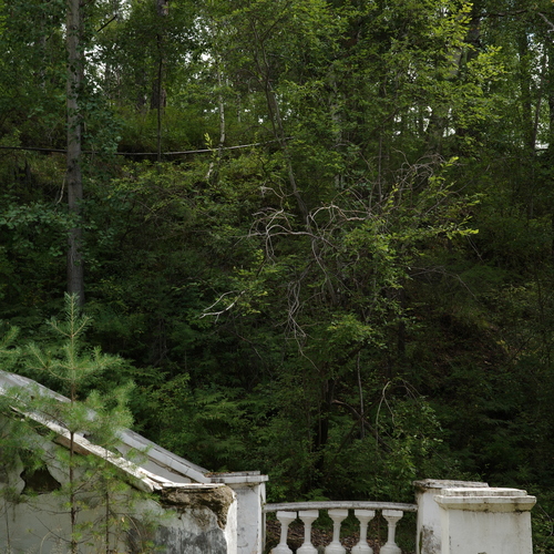 Photo #13982217