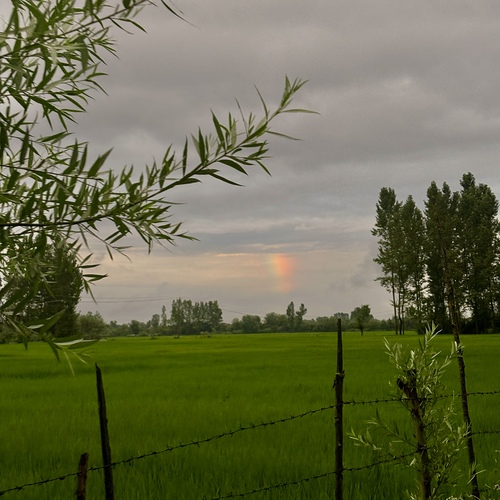 Photo #13982221