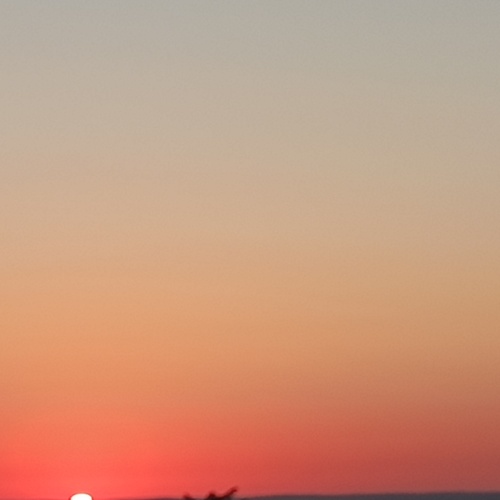 Photo #13982284