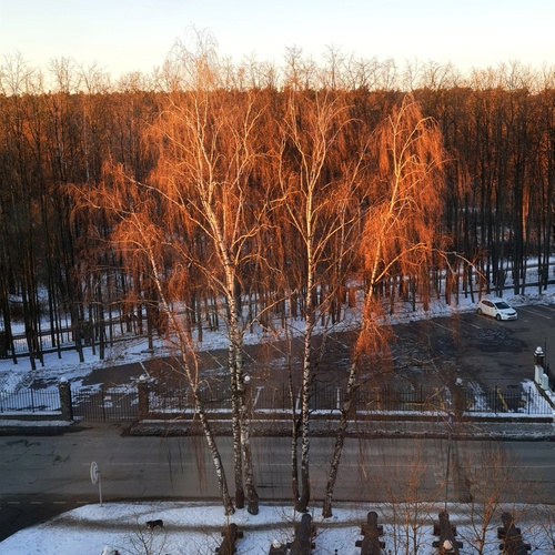 Photo #13982346