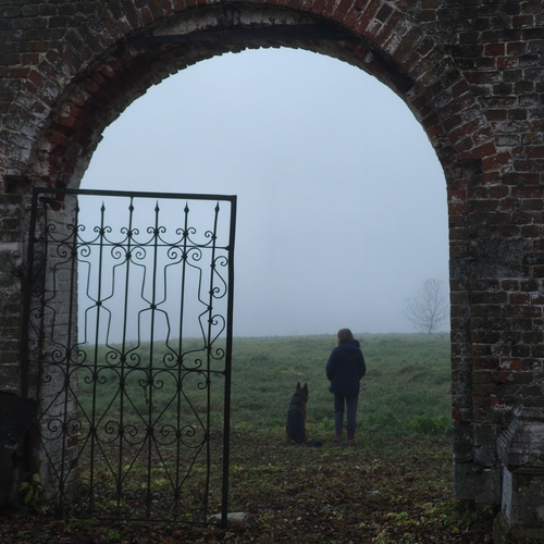 Photo #13982448