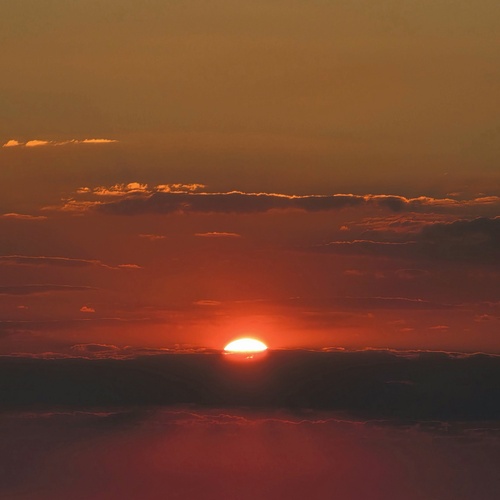 Photo #13982578