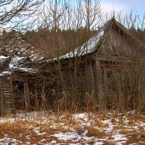 Photo #13982724