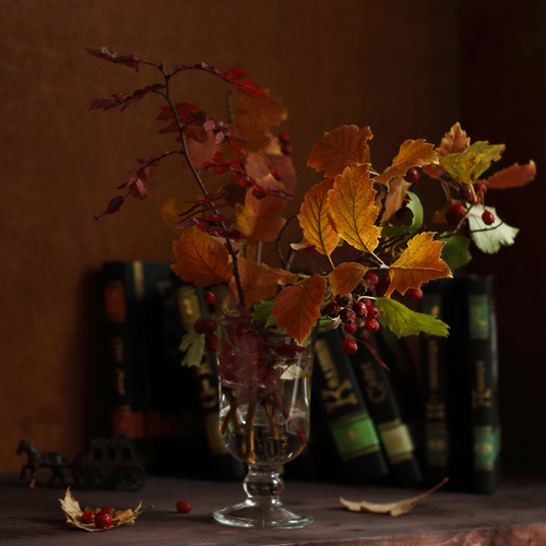 Photo #13982729