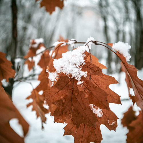 Photo #13982918