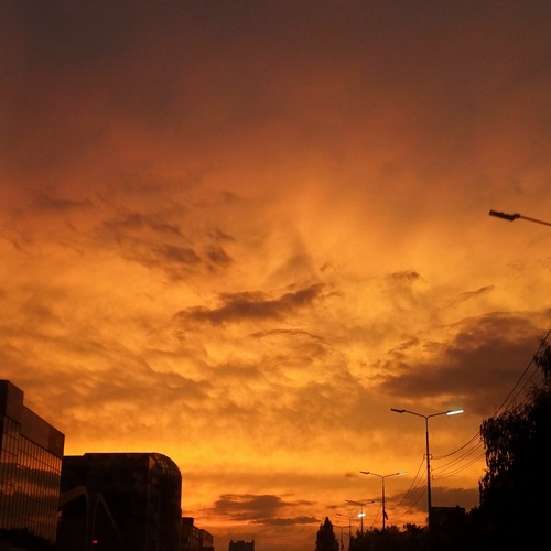 Photo #13983035