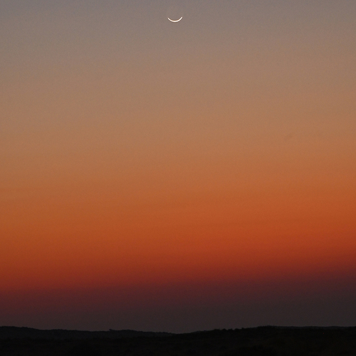 Photo #13983294