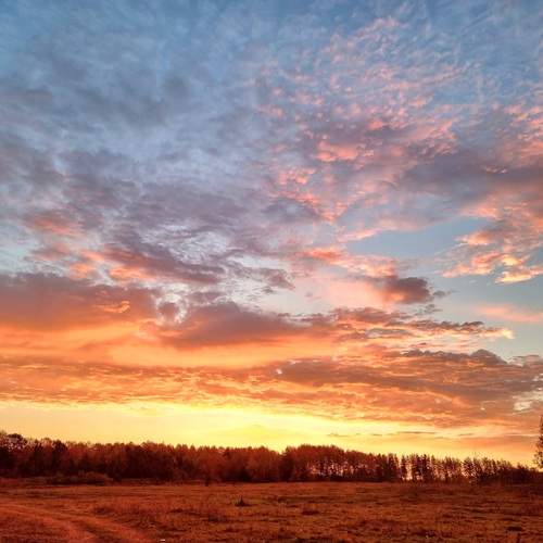 Photo #13983348