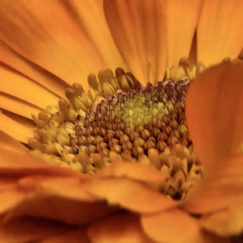 Photo #13983358