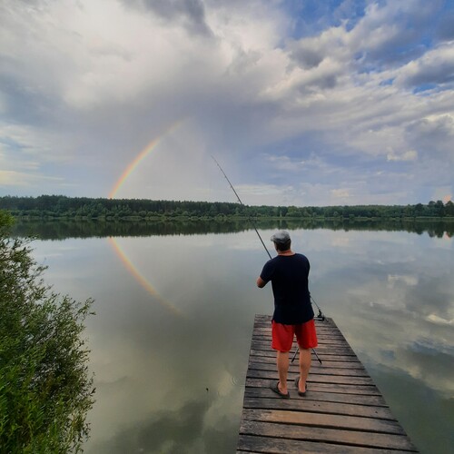 Photo #13983369