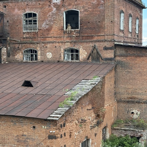 Photo #13983494
