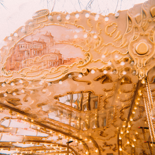Photo #13983518