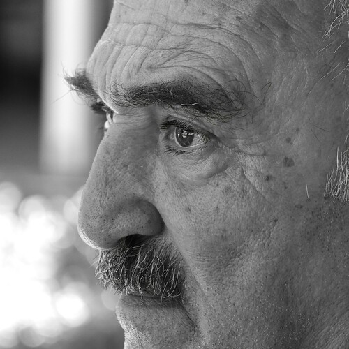 Photo #13983611