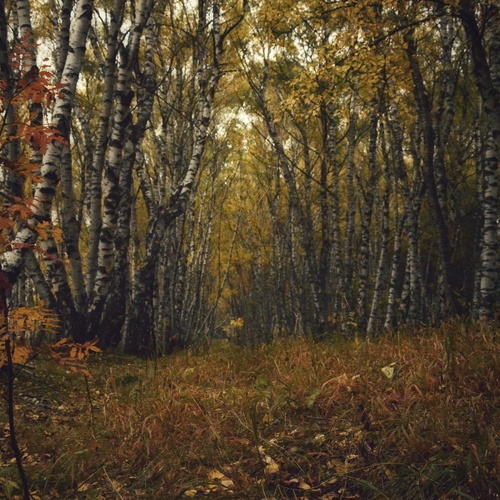 Photo #13983688