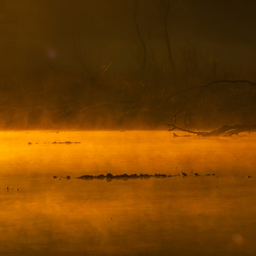 Photo #13983697