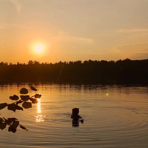 Photo #13983708