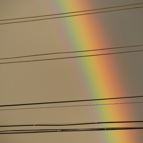 Photo #13983771