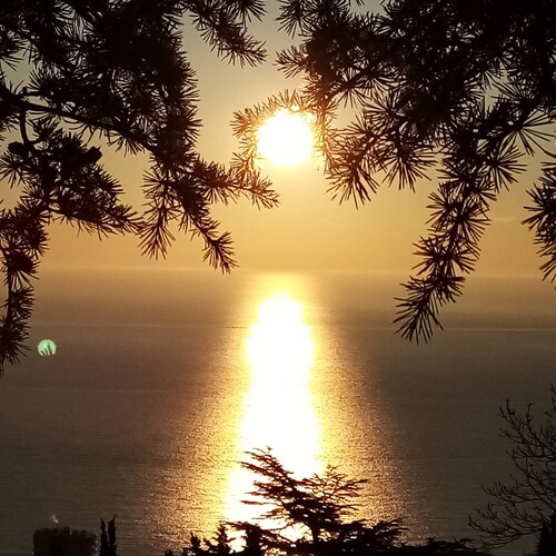 Photo #13984045