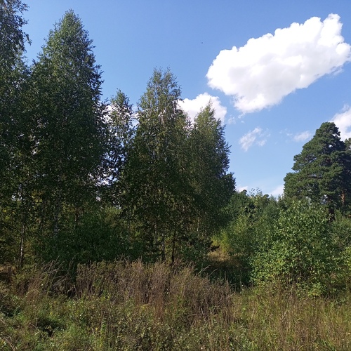 Photo #13984123